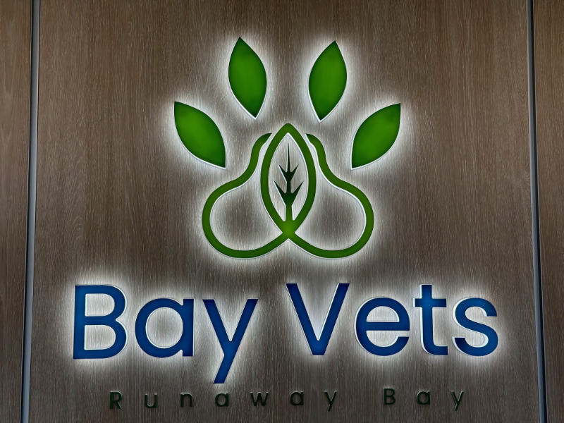 Bay Vets Runaway Bay Holistic Vets on the Gold Coast