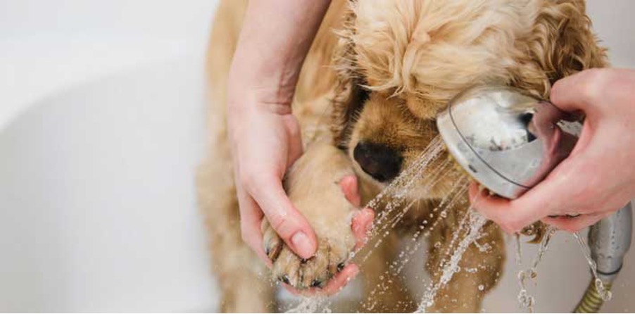 Photo of hot dog being cooled down.