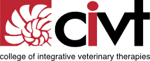 civt logo_215H